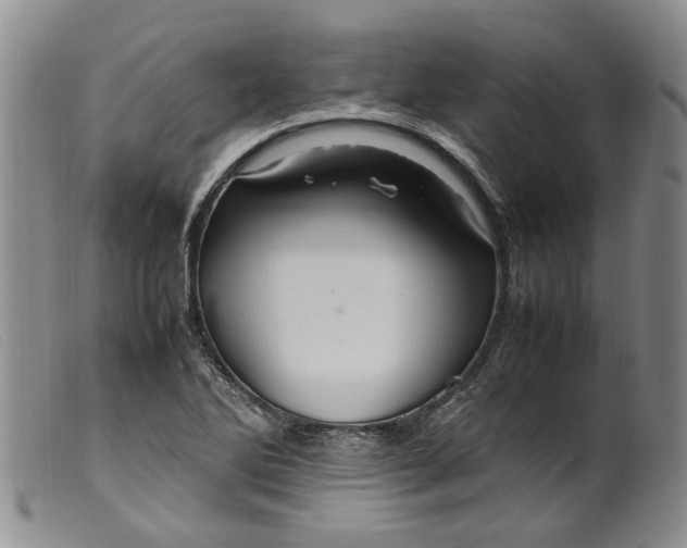 X0000099461270200805231757