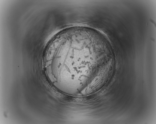 X0000099461271200805231757