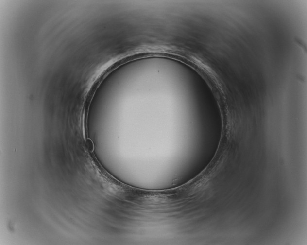 X0000099461272200805231757