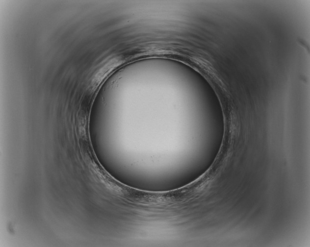 X0000099461273200805231757