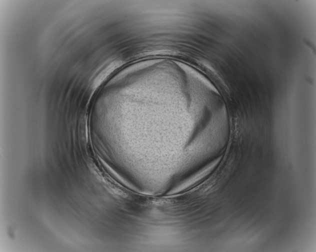 X0000099461274200805231757