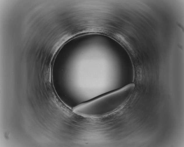 X0000099461276200805231757