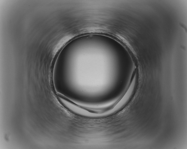 X0000099461277200805231757