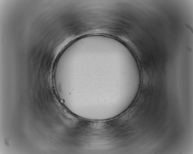 X0000099461278200805231757