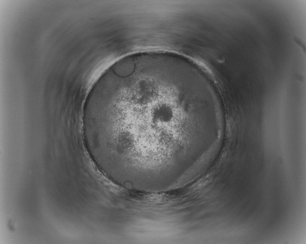 X0000099461279200805231757