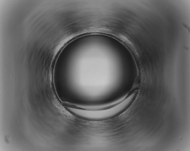 X0000099461280200805231757