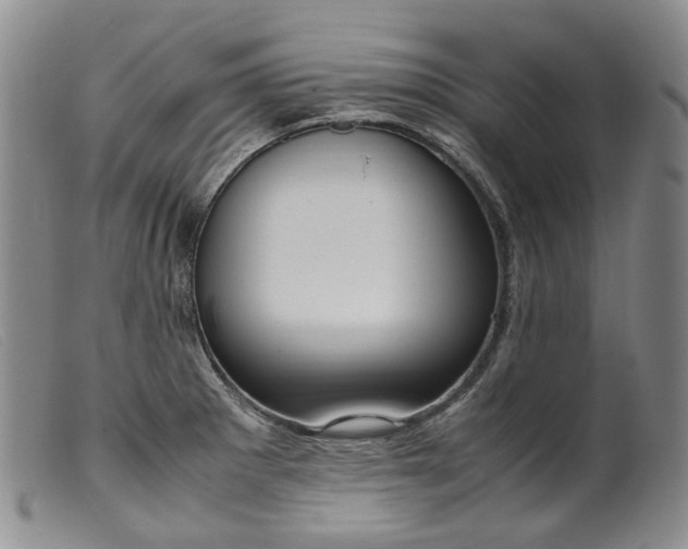 X0000099461281200805231757