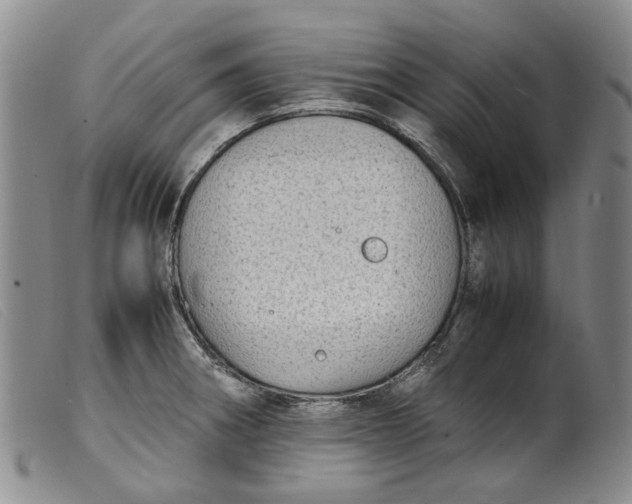 X0000099461282200805231757