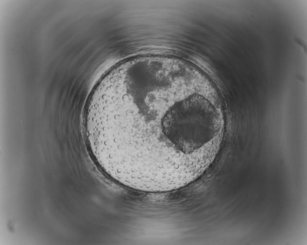 X0000099461283200805231757