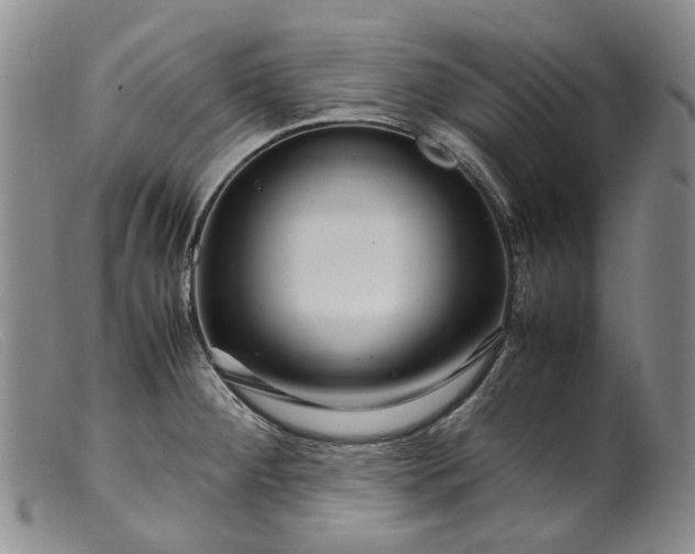 X0000099461284200805231757