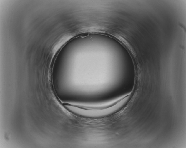 X0000099461285200805231757