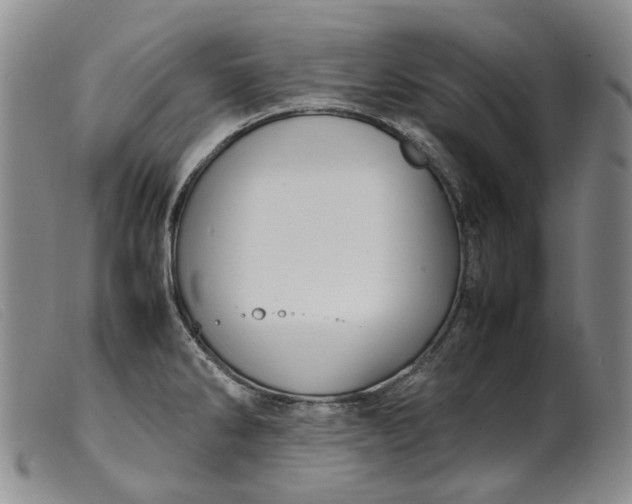 X0000099461286200805231757