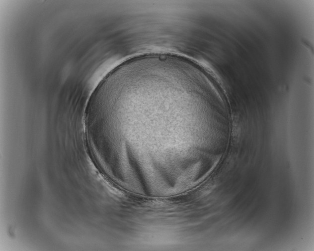 X0000099461287200805231757