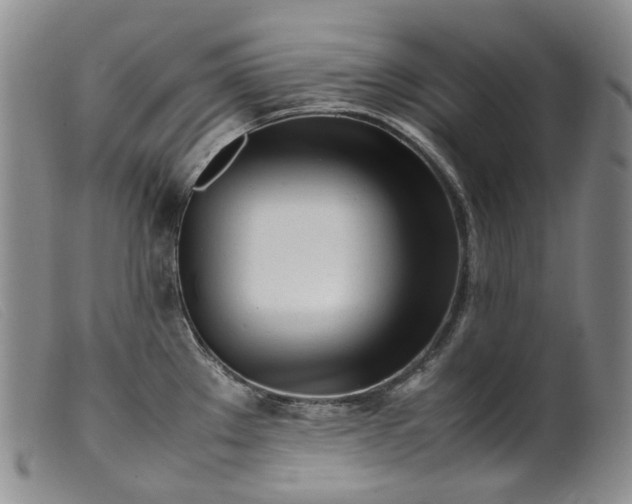 X0000099461289200805231757