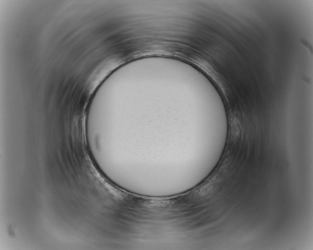 X0000099461290200805231757