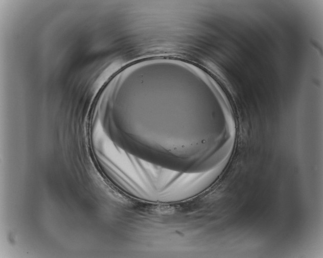 X0000099461291200805231757