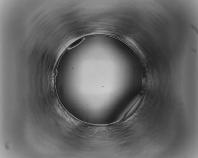 X0000099461292200805231757