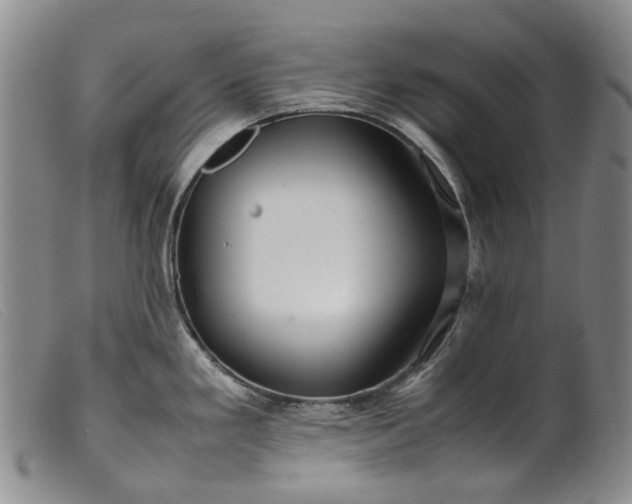 X0000099461293200805231757