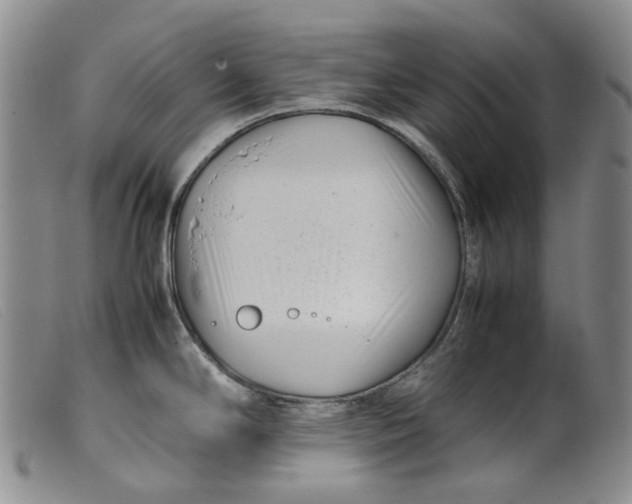 X0000099461294200805231757