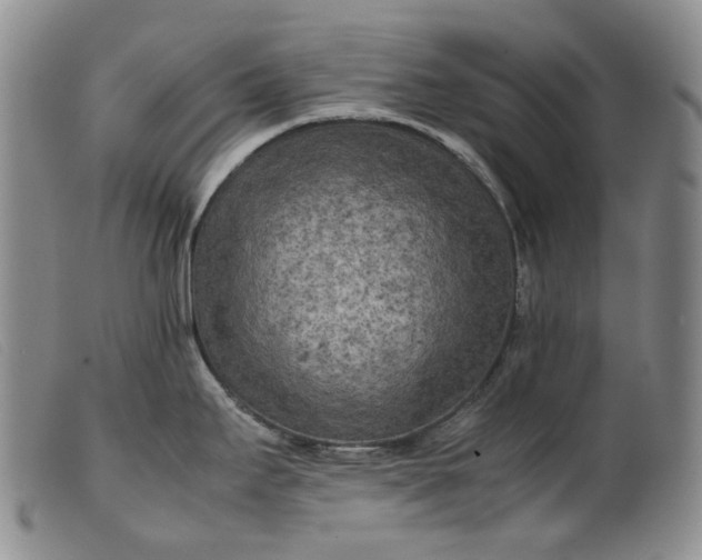 X0000099461295200805231757