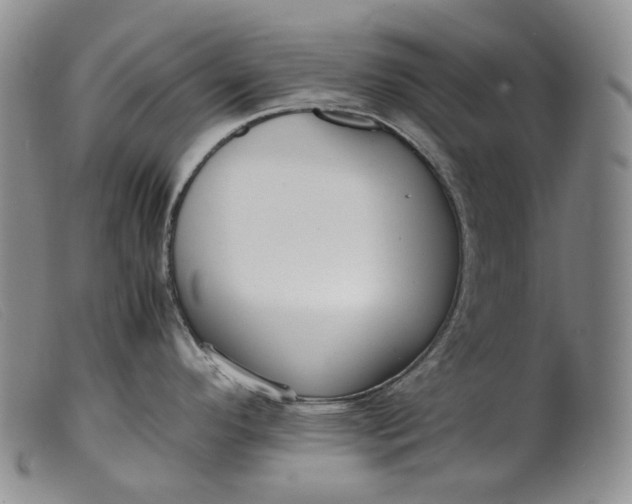 X0000099461296200805231757