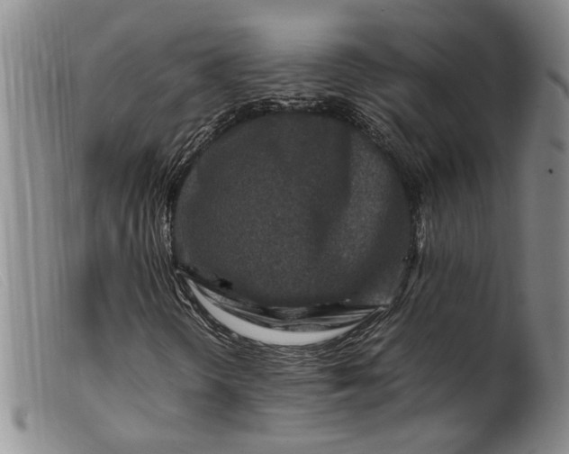 X0000099461298200805231756