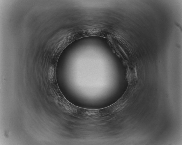 X0000099461299200805231756