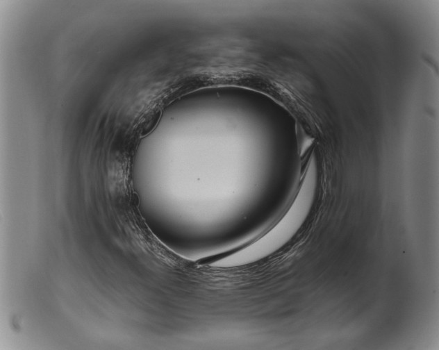 X0000099461300200805231756