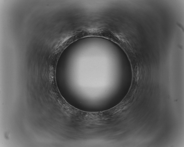 X0000099461301200805231756