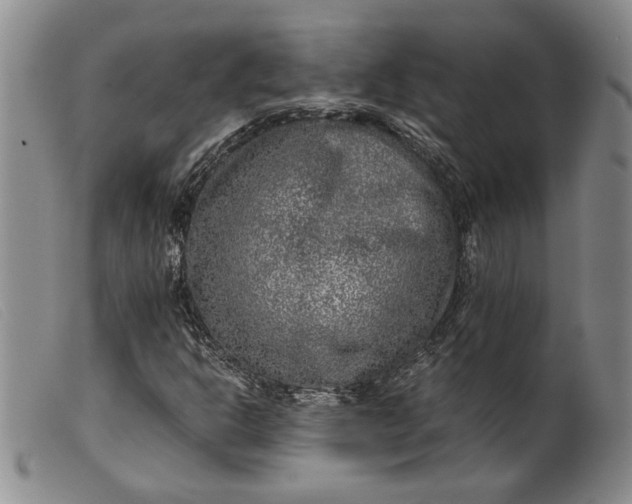 X0000099461302200805231756