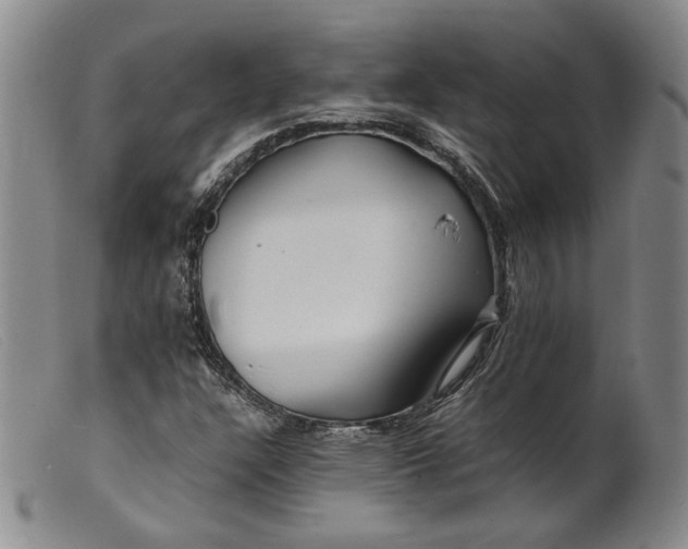 X0000099461304200805231756