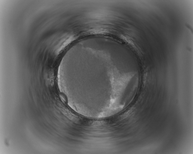 X0000099461306200805231756