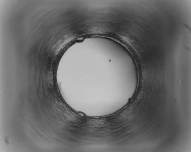 X0000099461307200805231757