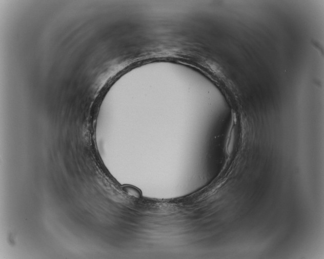 X0000099461308200805231757