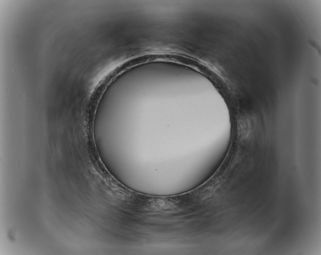 X0000099461311200805231757