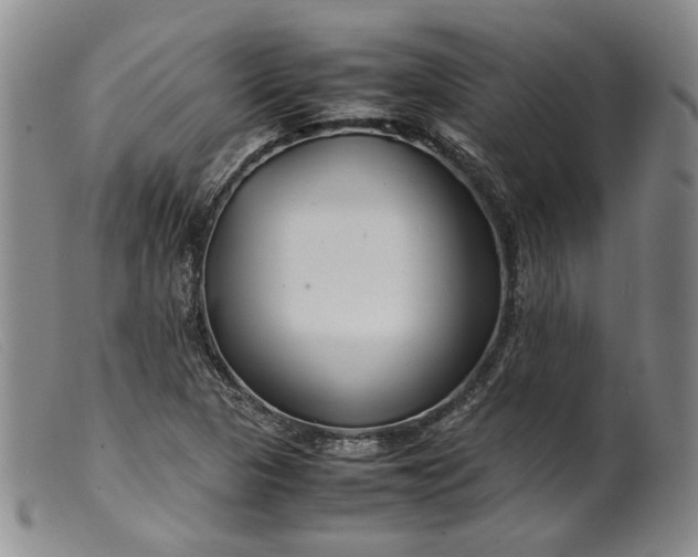 X0000099461313200805231757