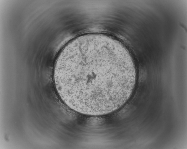 X0000099461314200805231757