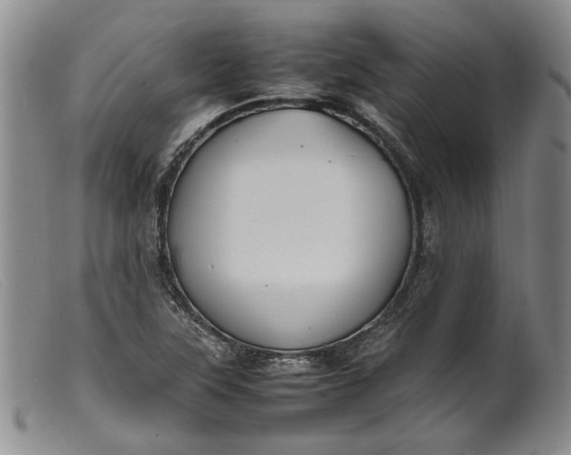 X0000099461315200805231757