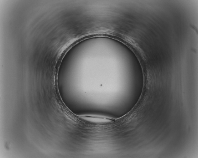 X0000099461316200805231757