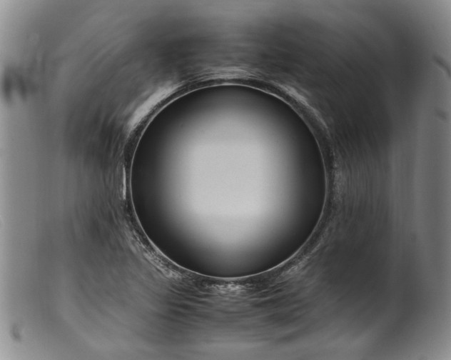 X0000099461317200805231757