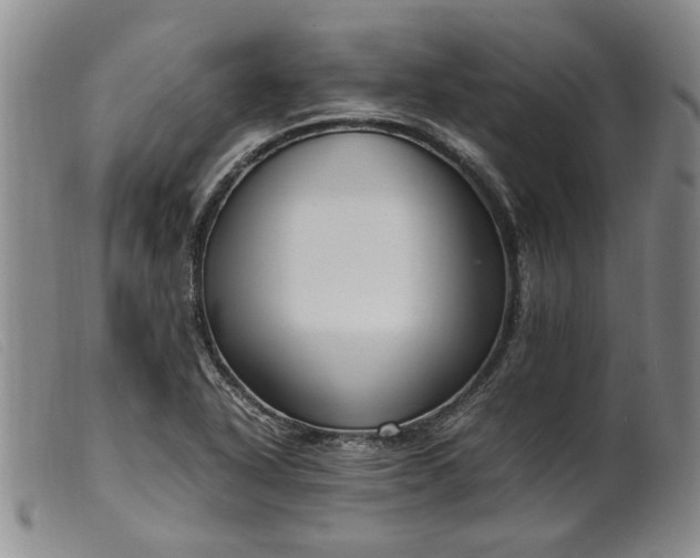 X0000099461318200805231757