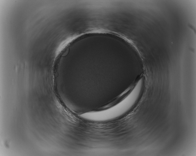 X0000099461319200805231757