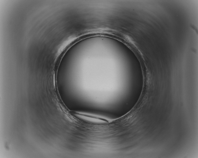 X0000099461320200805231757