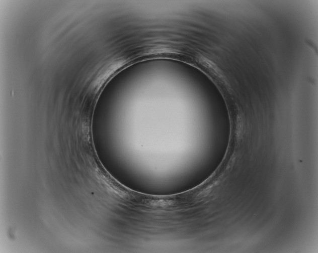 X0000099461321200805231757