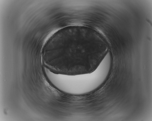 X0000099461323200805231757