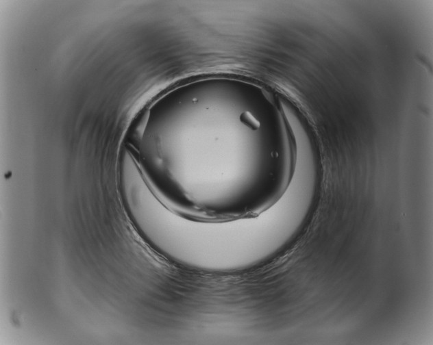 X0000099461324200805231757