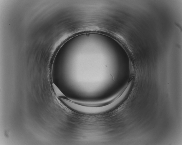 X0000099461326200805231757