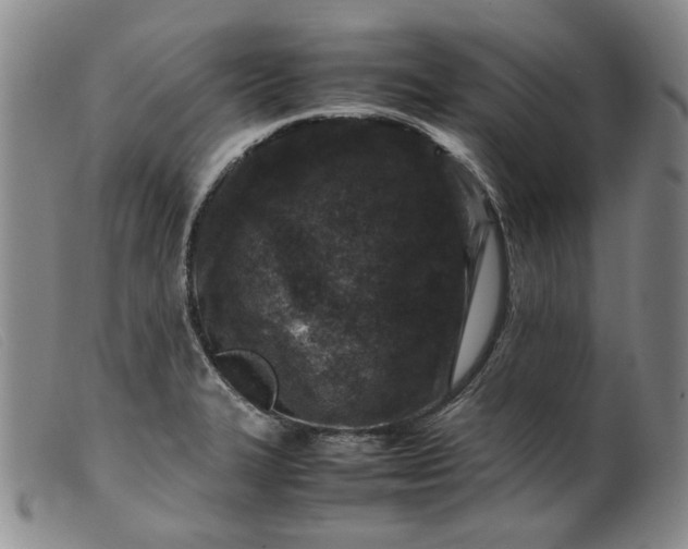 X0000099461327200805231757