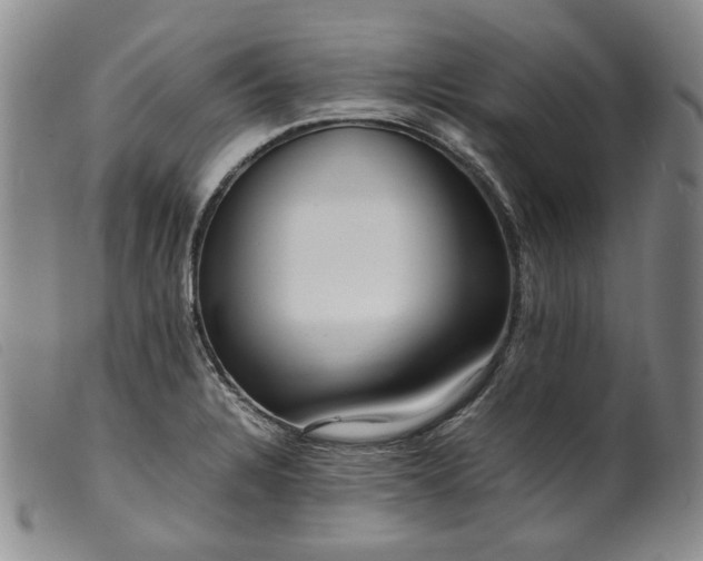 X0000099461328200805231757