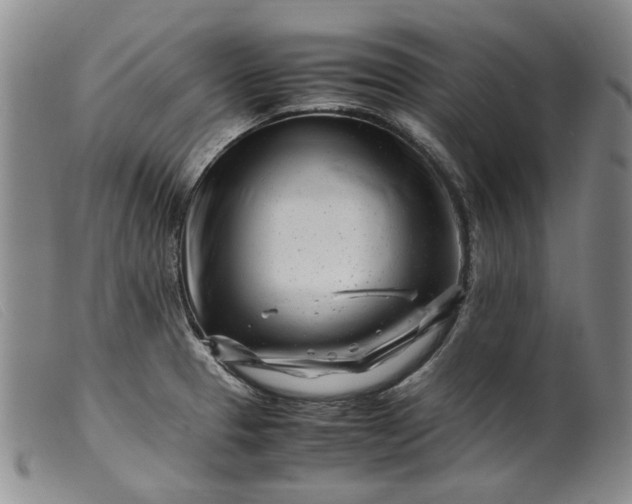 X0000099461329200805231757